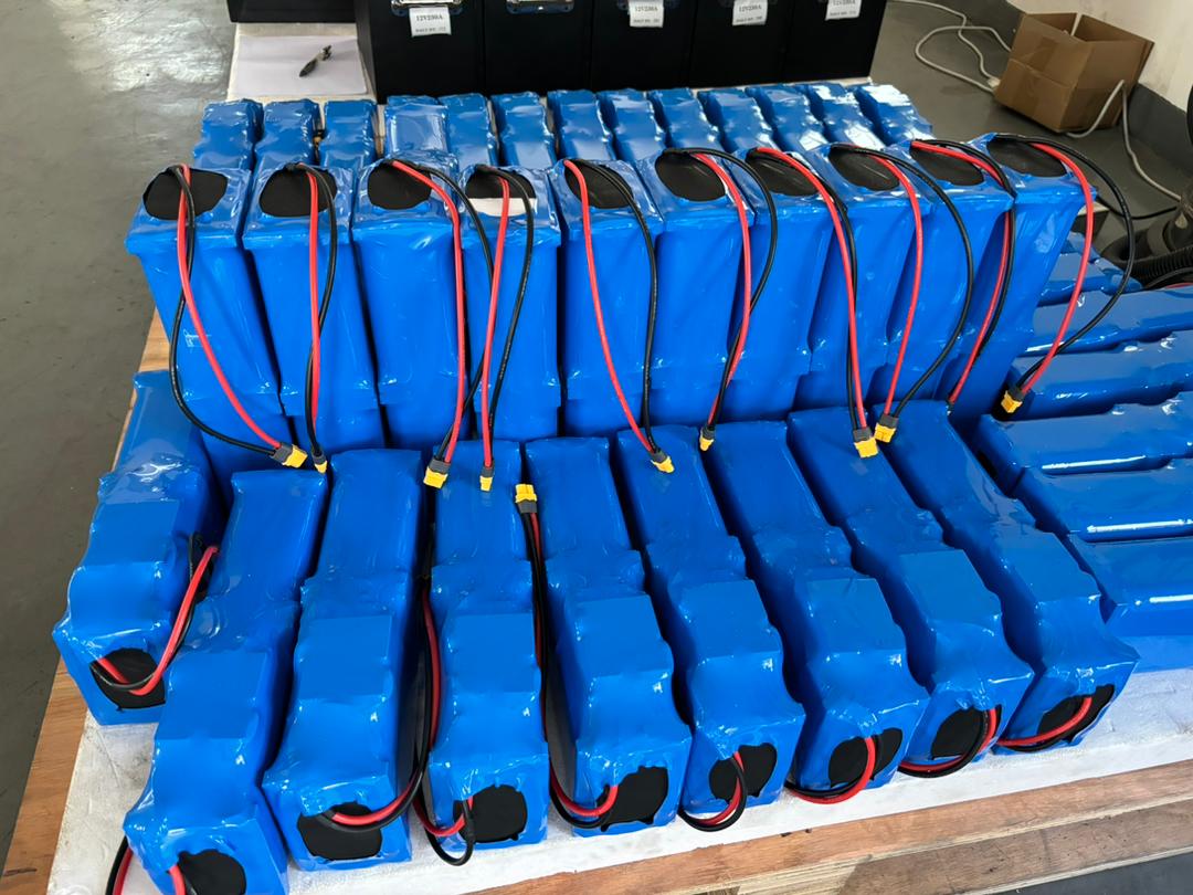 Custom E-Bike Battery Pack with Sodium-ion Battery 36V 24V 12V 48V 10A 20A 30A