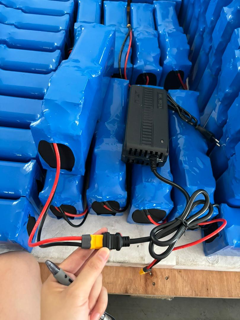 Custom E-Bike Battery Pack with Sodium-ion Battery 36V 24V 12V 48V 10A 20A 30A