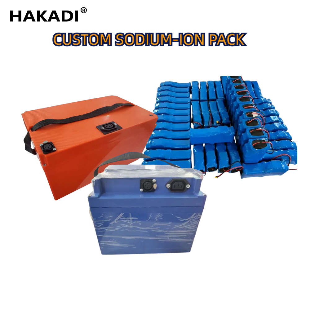 Custom E-Bike Battery Pack with Sodium-ion Battery 36V 24V 12V 48V 10A 20A 30A