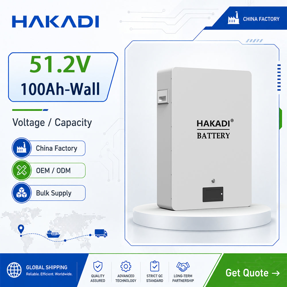 51.2V100Ah 5kwh Wall-Mounted Battery System for Home Inverter 5000 cycles EVE 100LA Grade A cells