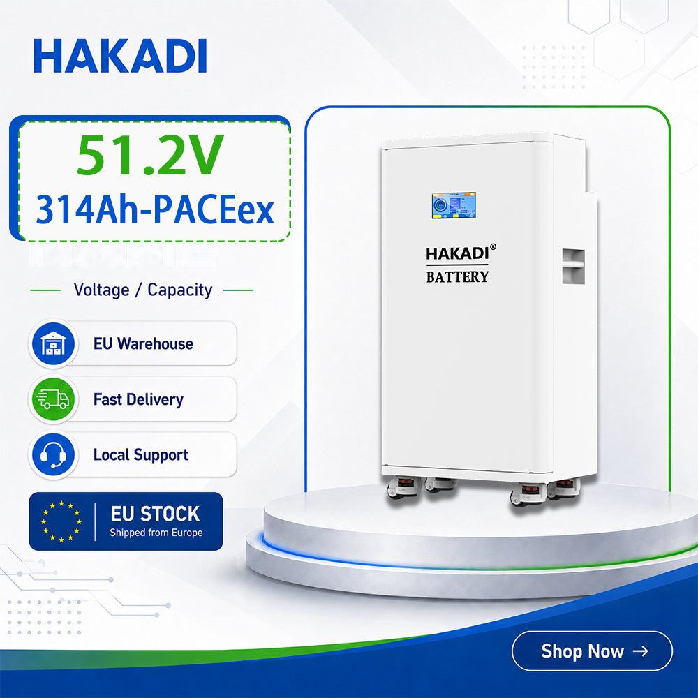 EU Stock 51.2V314AH 280AH 16KWH Battery Pack PACE bms Home Energy System Free Ship and Tax