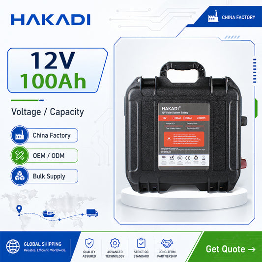 12v 100ah lifepo4 battery Grade A 6000 cycls Built-in BMS CATL 100A EVE LF105 LF100 For Boat Marine UPS Portable